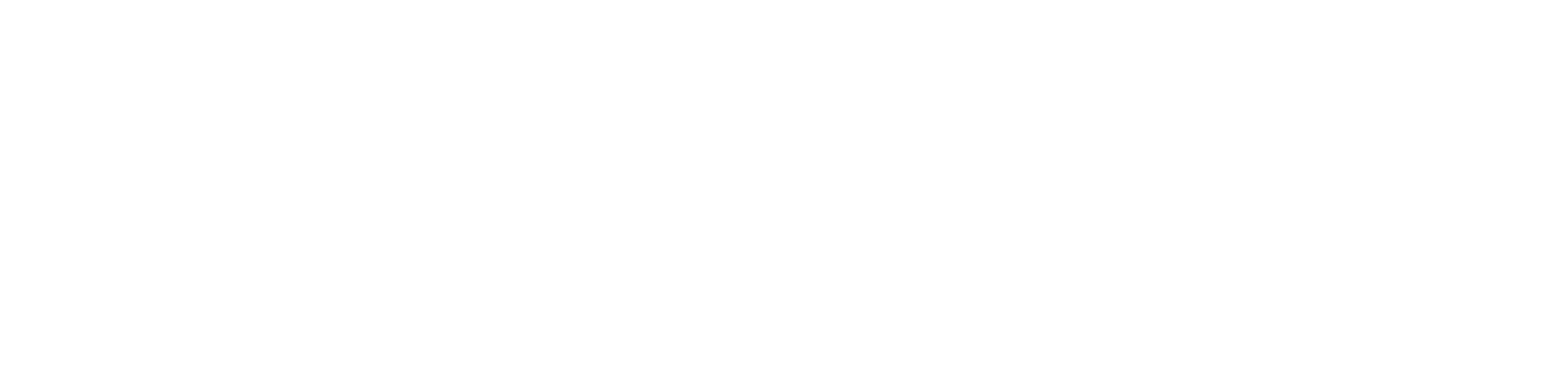 everso Logo